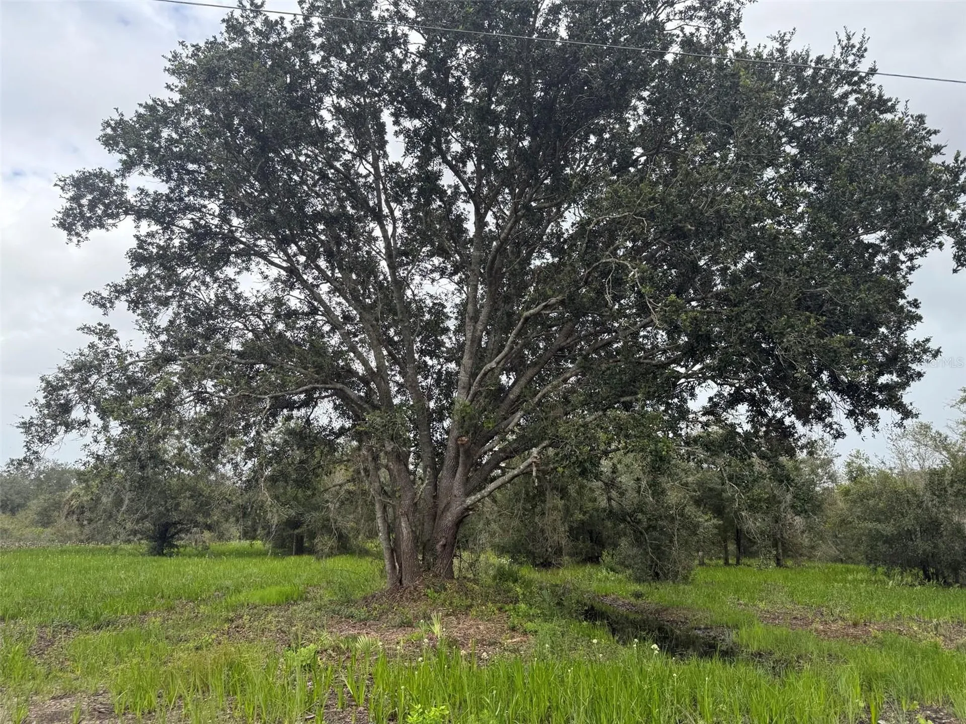 17915 NW 290th Street Okeechobee FL 34972