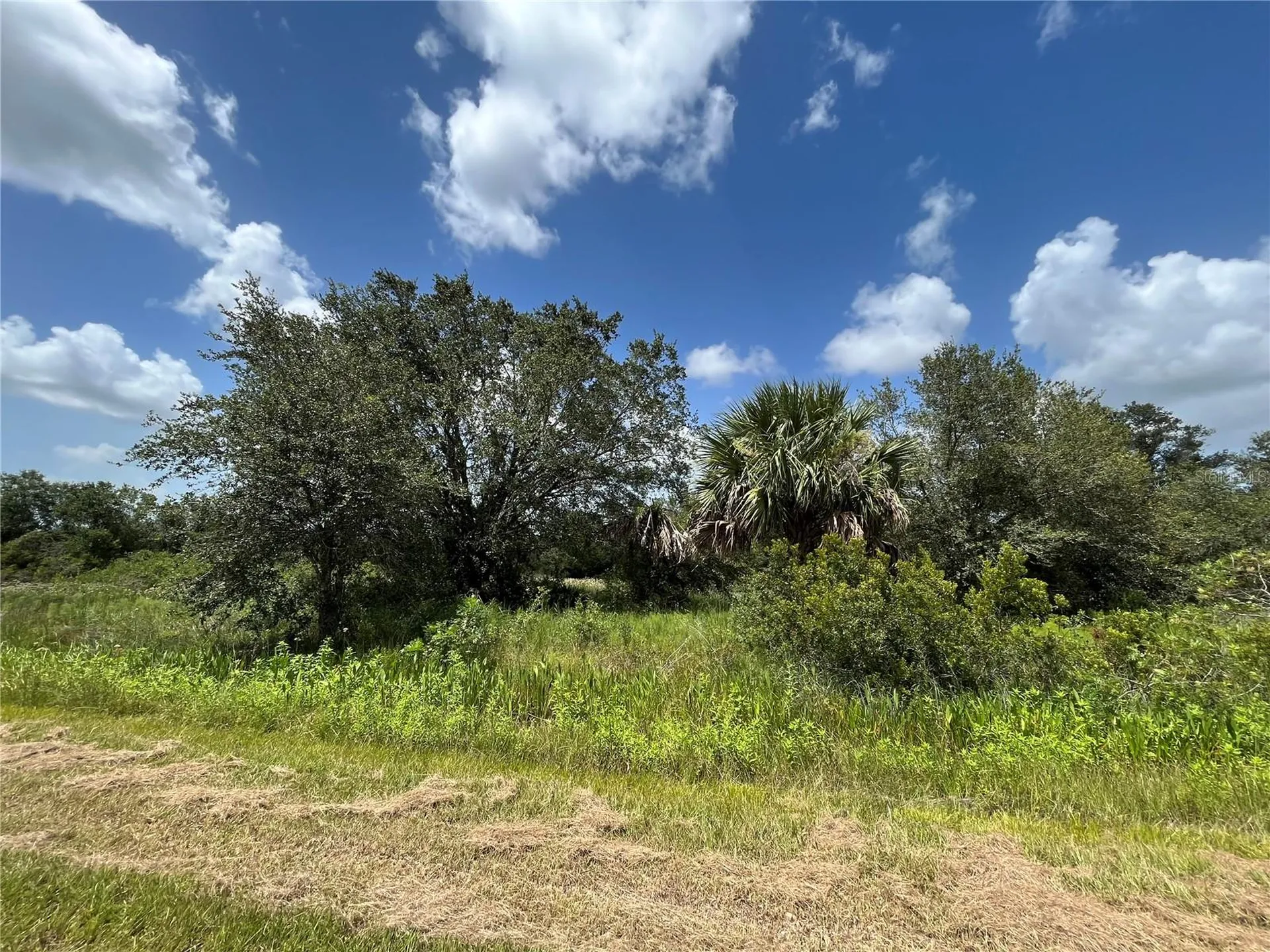 17915 NW 290th Street Okeechobee FL 34972