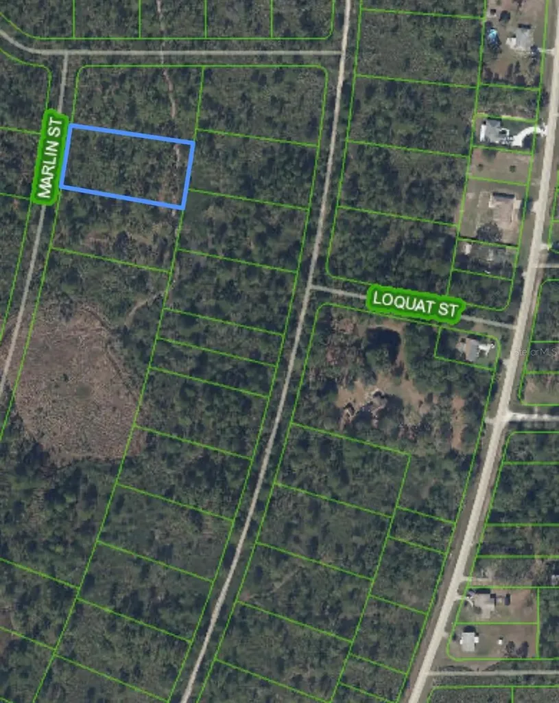 745 Marlin Street Lake Placid FL 33852