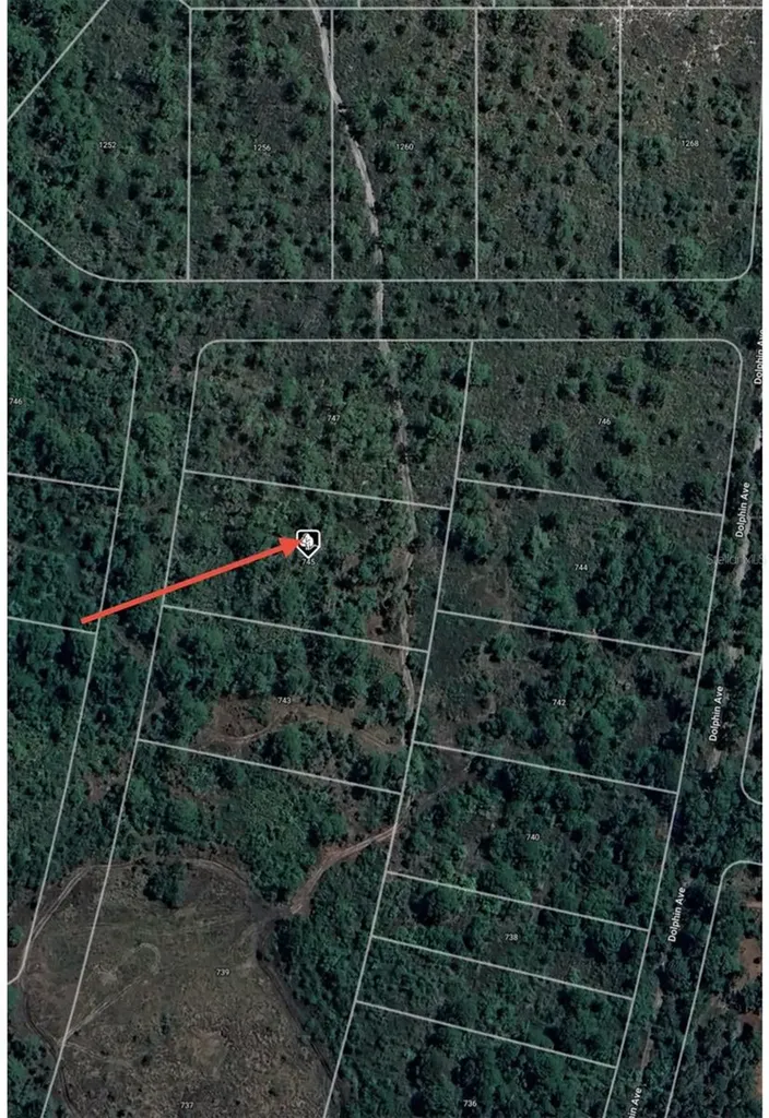745 Marlin Street Lake Placid FL 33852
