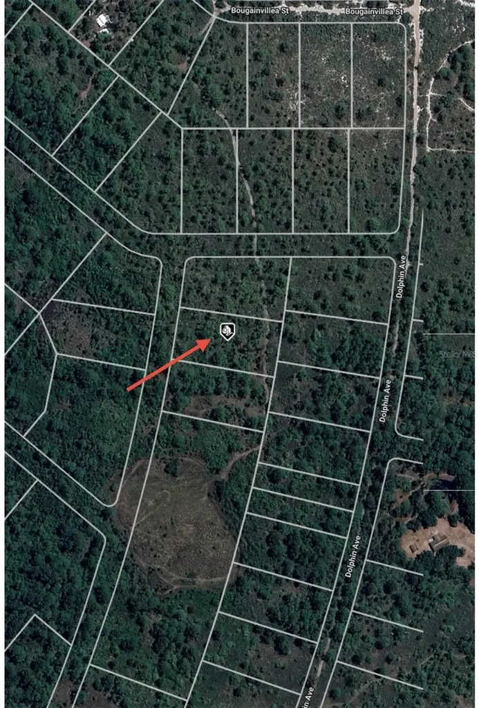 745 Marlin Street Lake Placid FL 33852