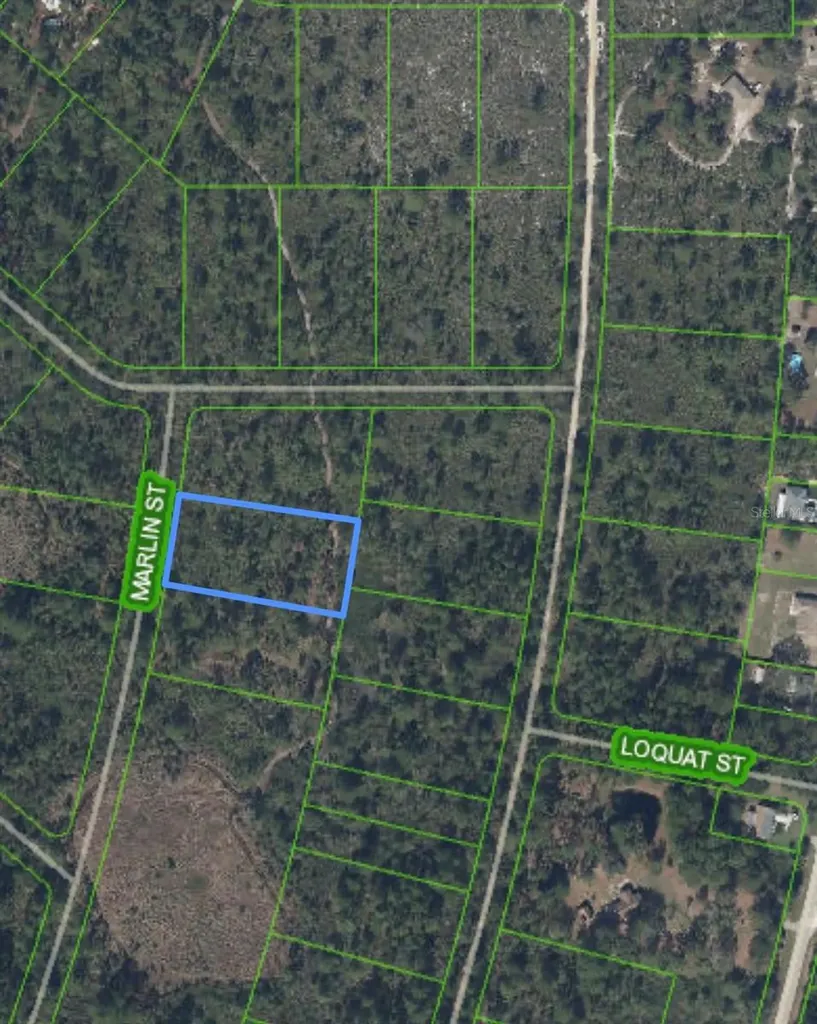 745 Marlin Street Lake Placid FL 33852