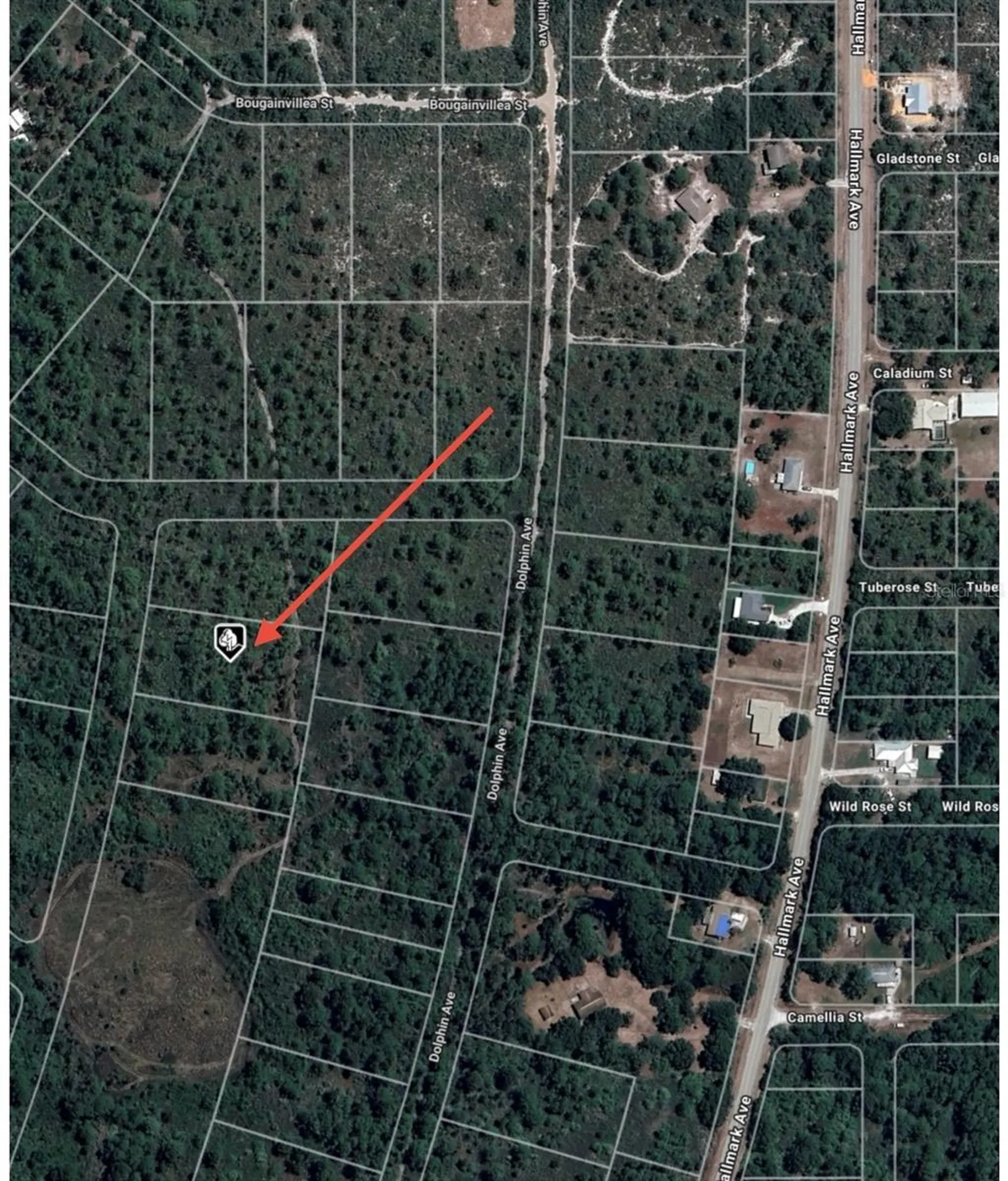 745 Marlin Street Lake Placid FL 33852