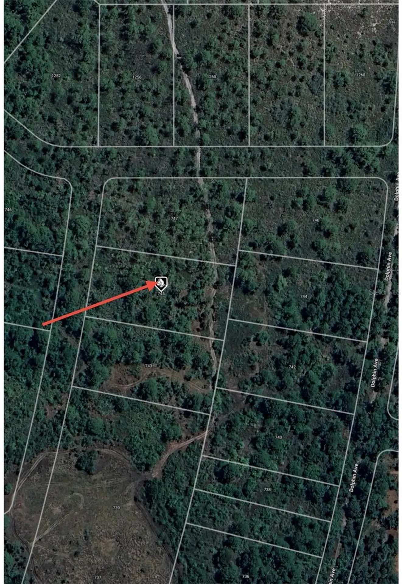 745 Marlin Street Lake Placid FL 33852