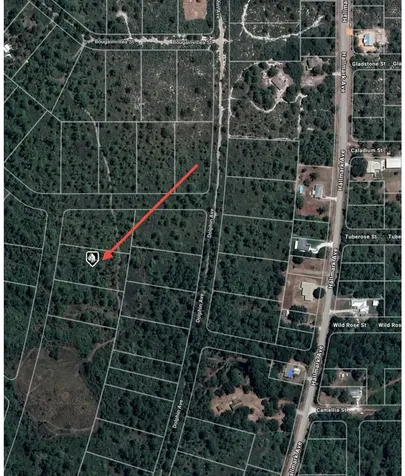 745 Marlin Street Lake Placid FL 33852