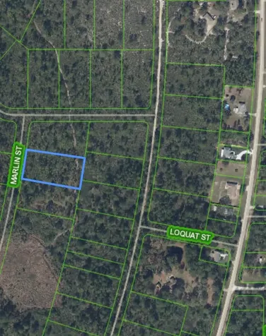 745 Marlin Street Lake Placid FL 33852