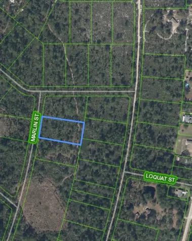 745 Marlin Street Lake Placid FL 33852