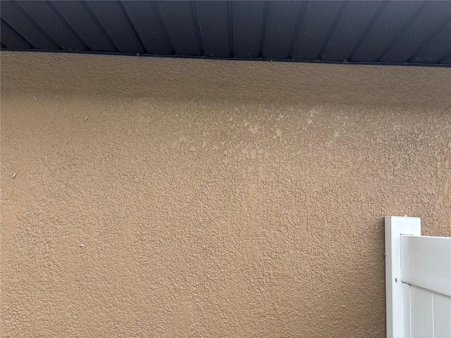 12214 Legacy Bright Riverview FL 33578