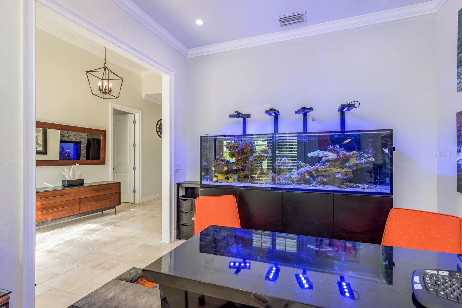 7811 Bay Drive Tampa FL 33635
