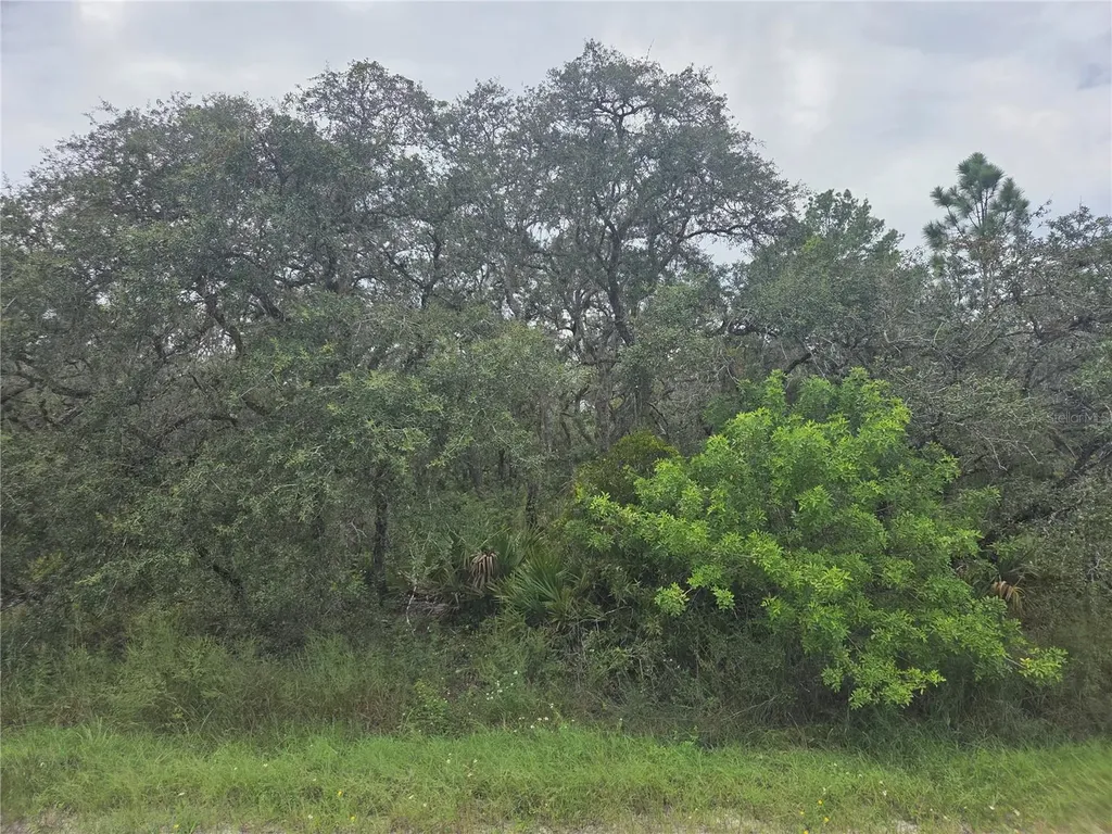 2912 Sand Pine Trail Frostproof FL 33843