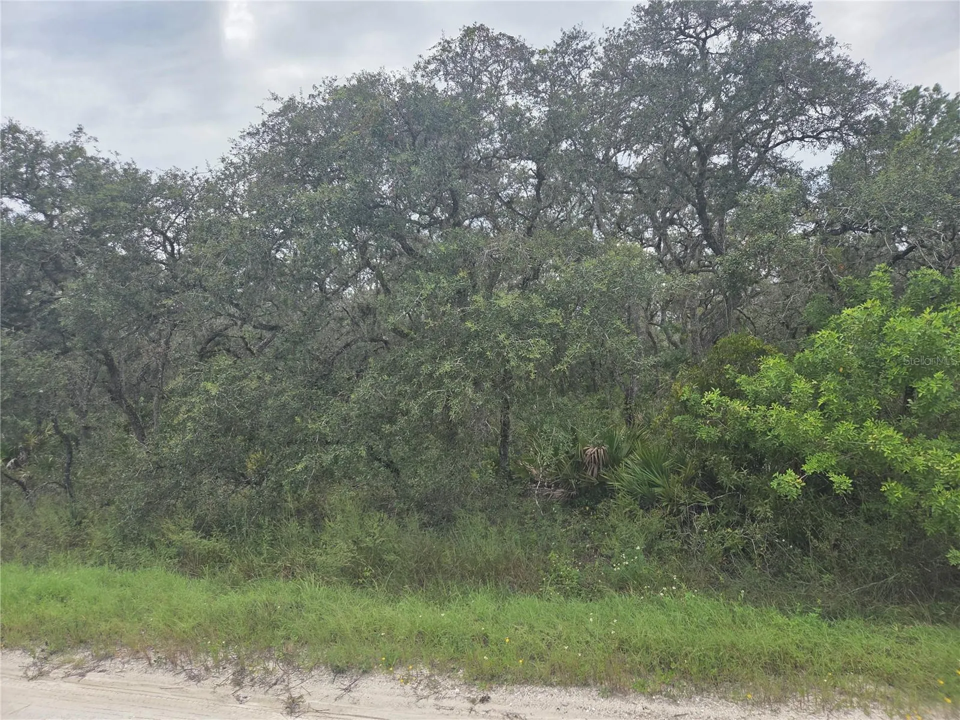 2912 Sand Pine Trail Frostproof FL 33843
