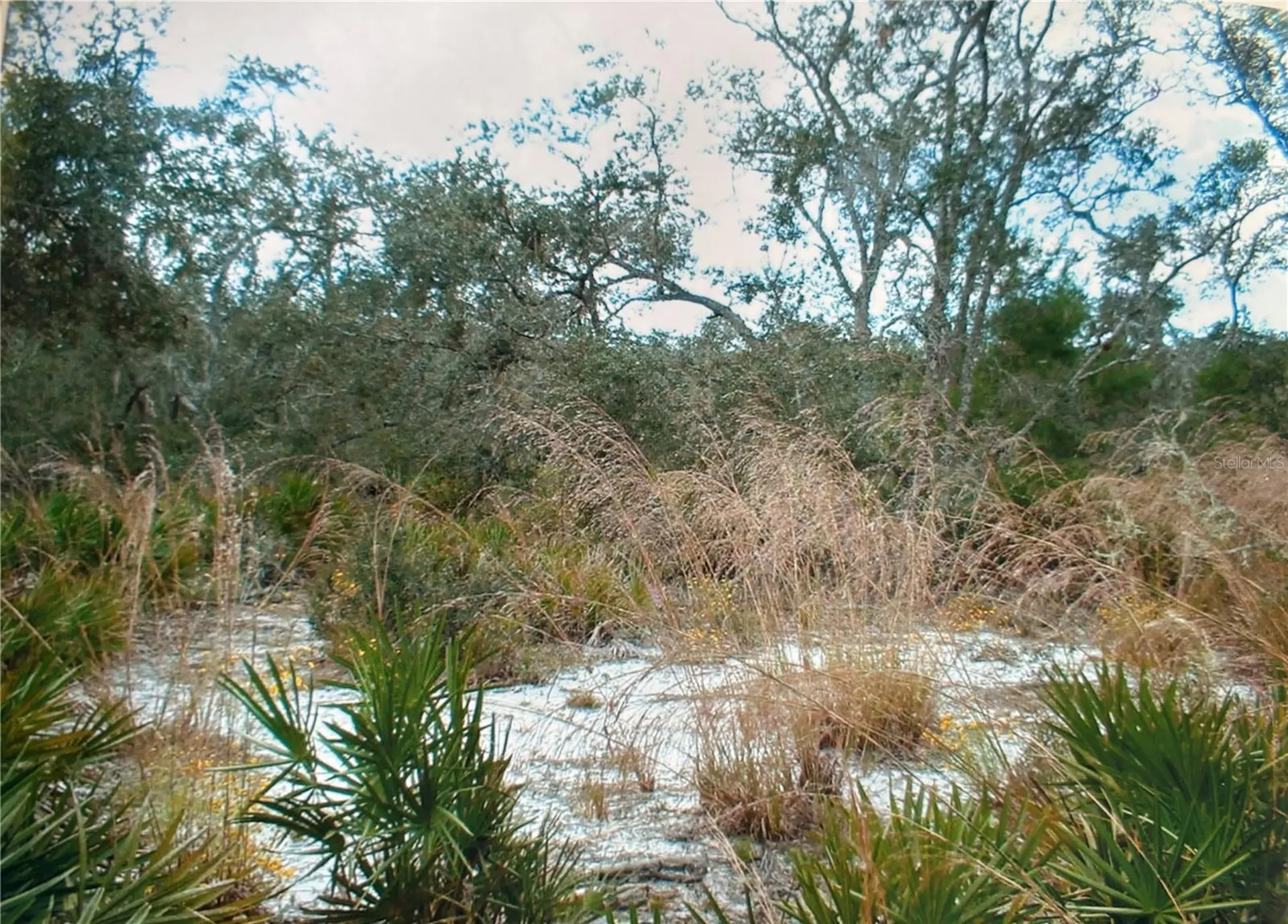 2912 Sand Pine Trail Frostproof FL 33843