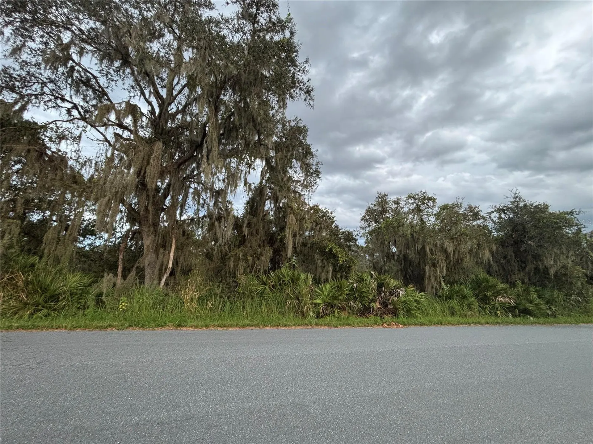 0 Gabriel Road Fort Meade FL 33841