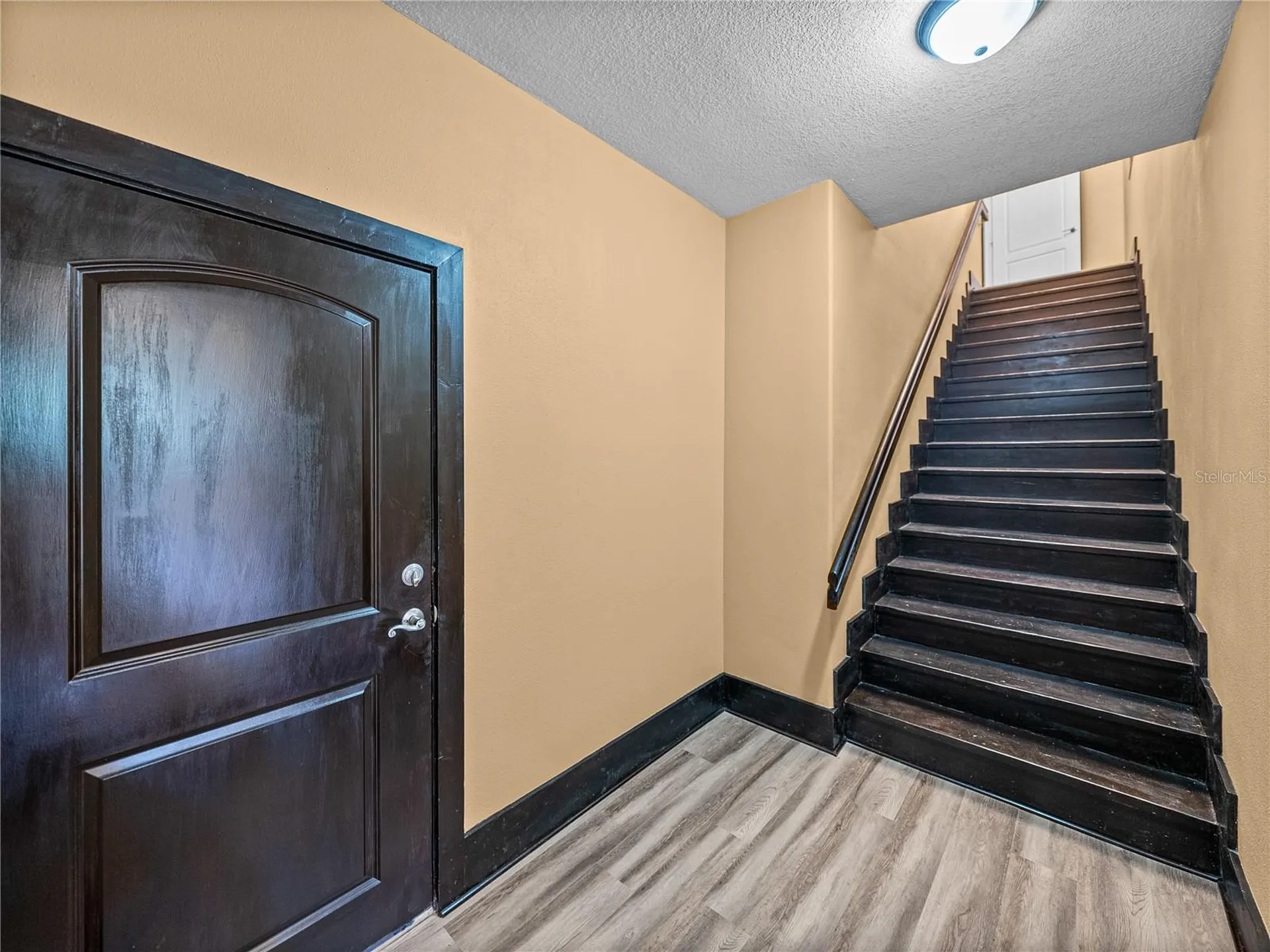 31511 Saddle Lane Wesley Chapel FL 33543