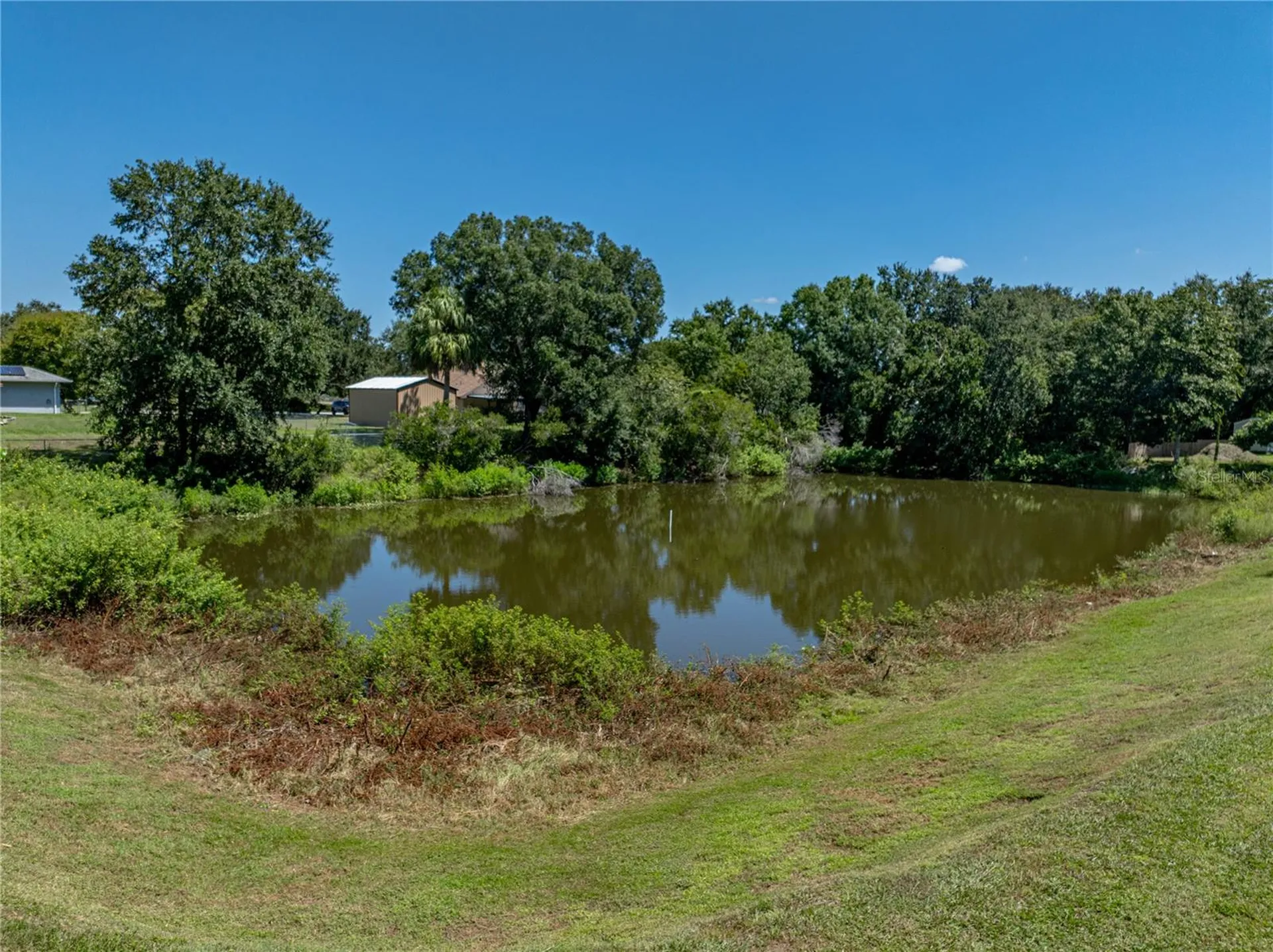 31511 Saddle Lane Wesley Chapel FL 33543