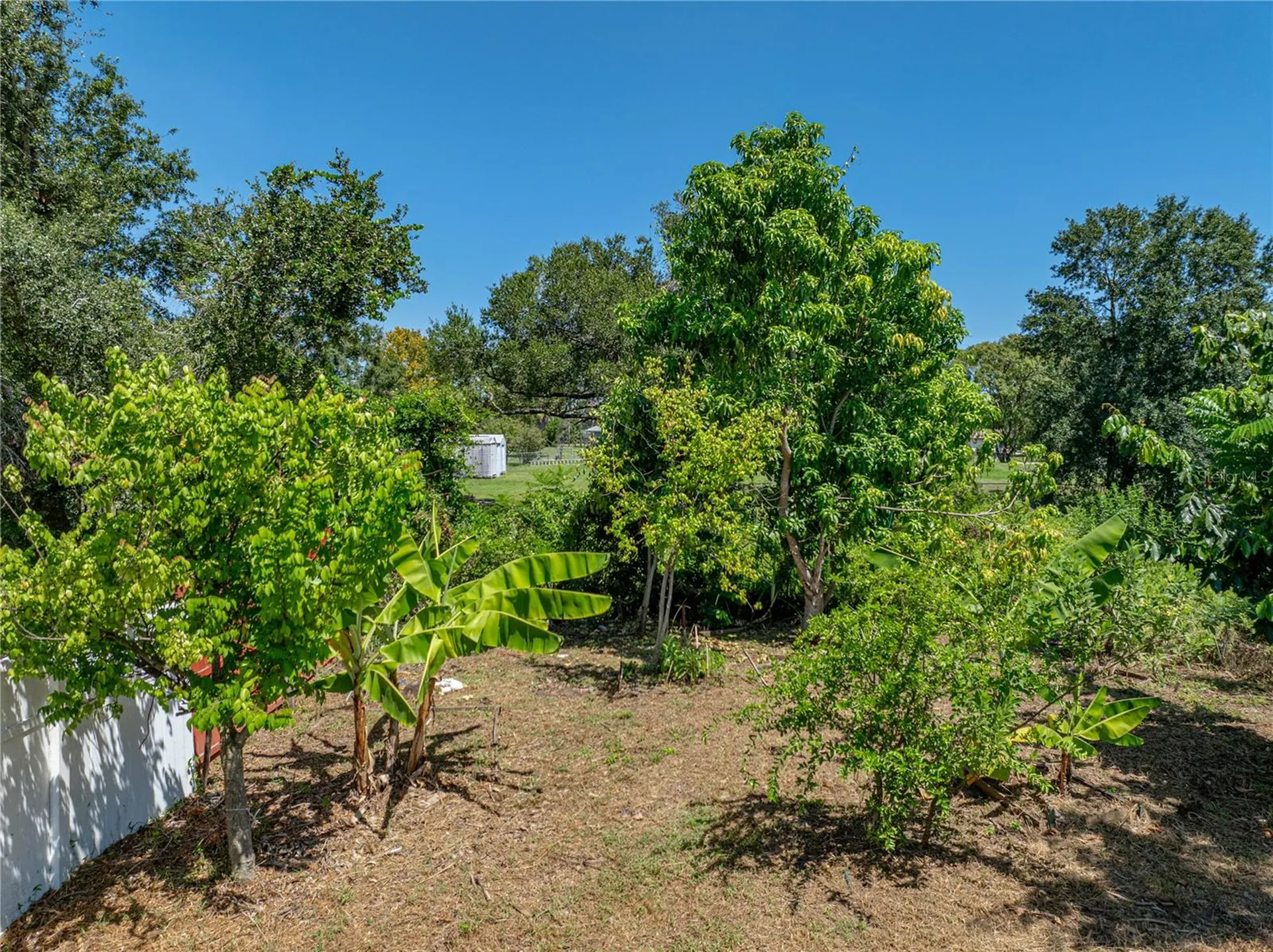 31511 Saddle Lane Wesley Chapel FL 33543
