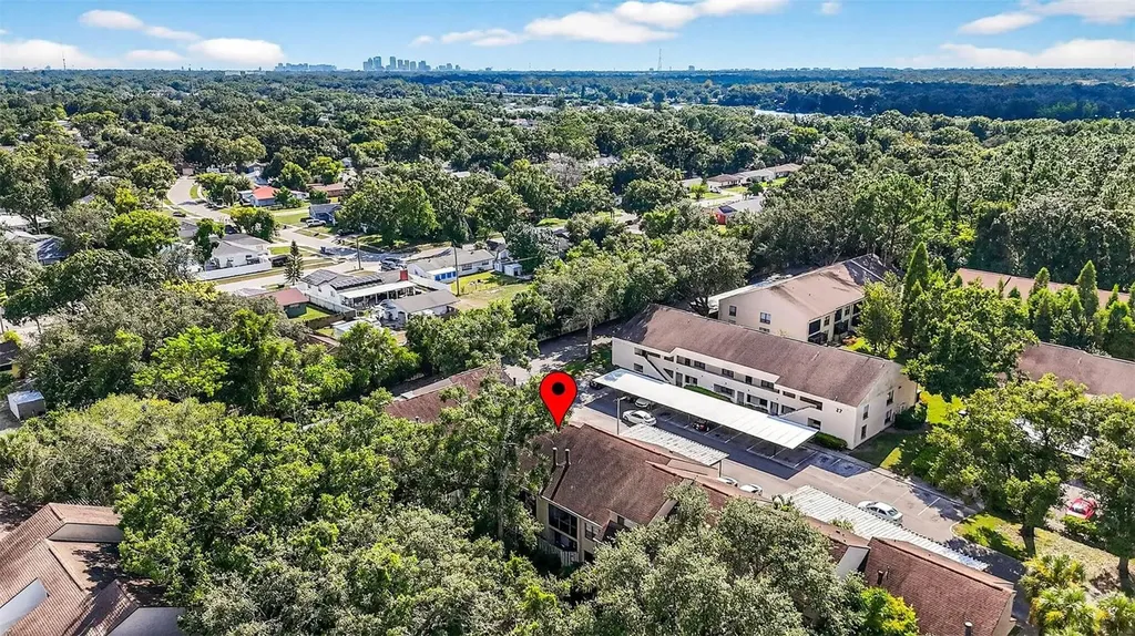 7809 Niagara Avenue Tampa FL 33617