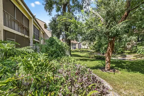 7809 Niagara Avenue Tampa FL 33617