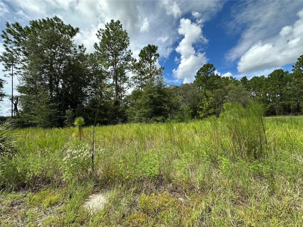 Tbd SE 130th Court Dunnellon FL 34431