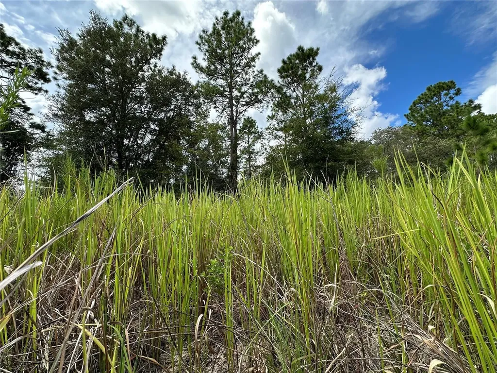 Tbd SE 130th Court Dunnellon FL 34431