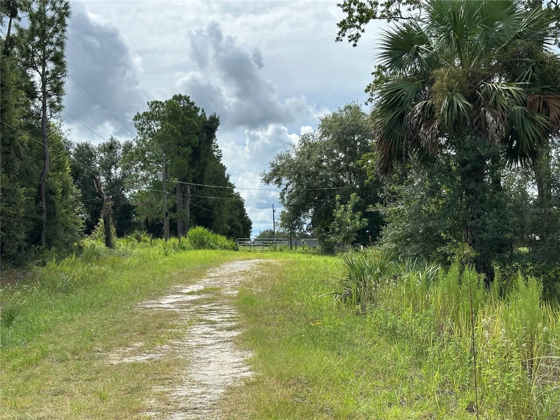Tbd SE 130th Court Dunnellon FL 34431
