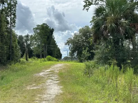 Tbd SE 130th Court Dunnellon FL 34431