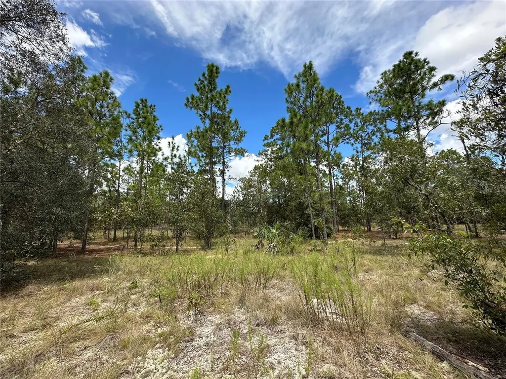 Dunnellon FL 34431