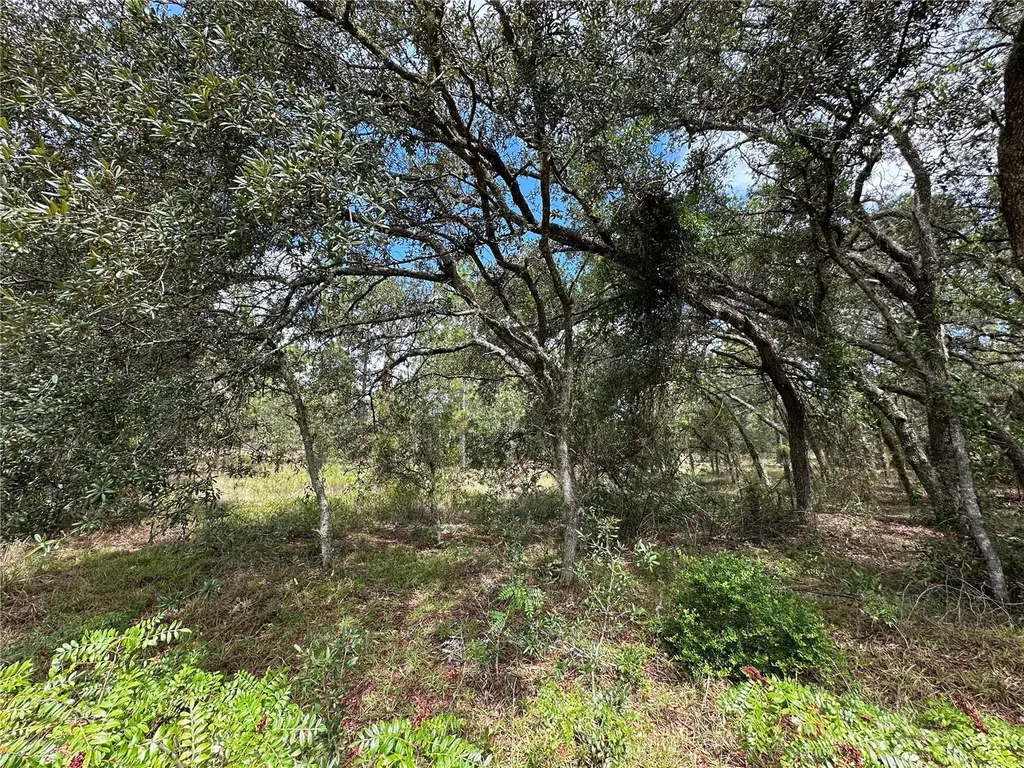 Dunnellon FL 34431