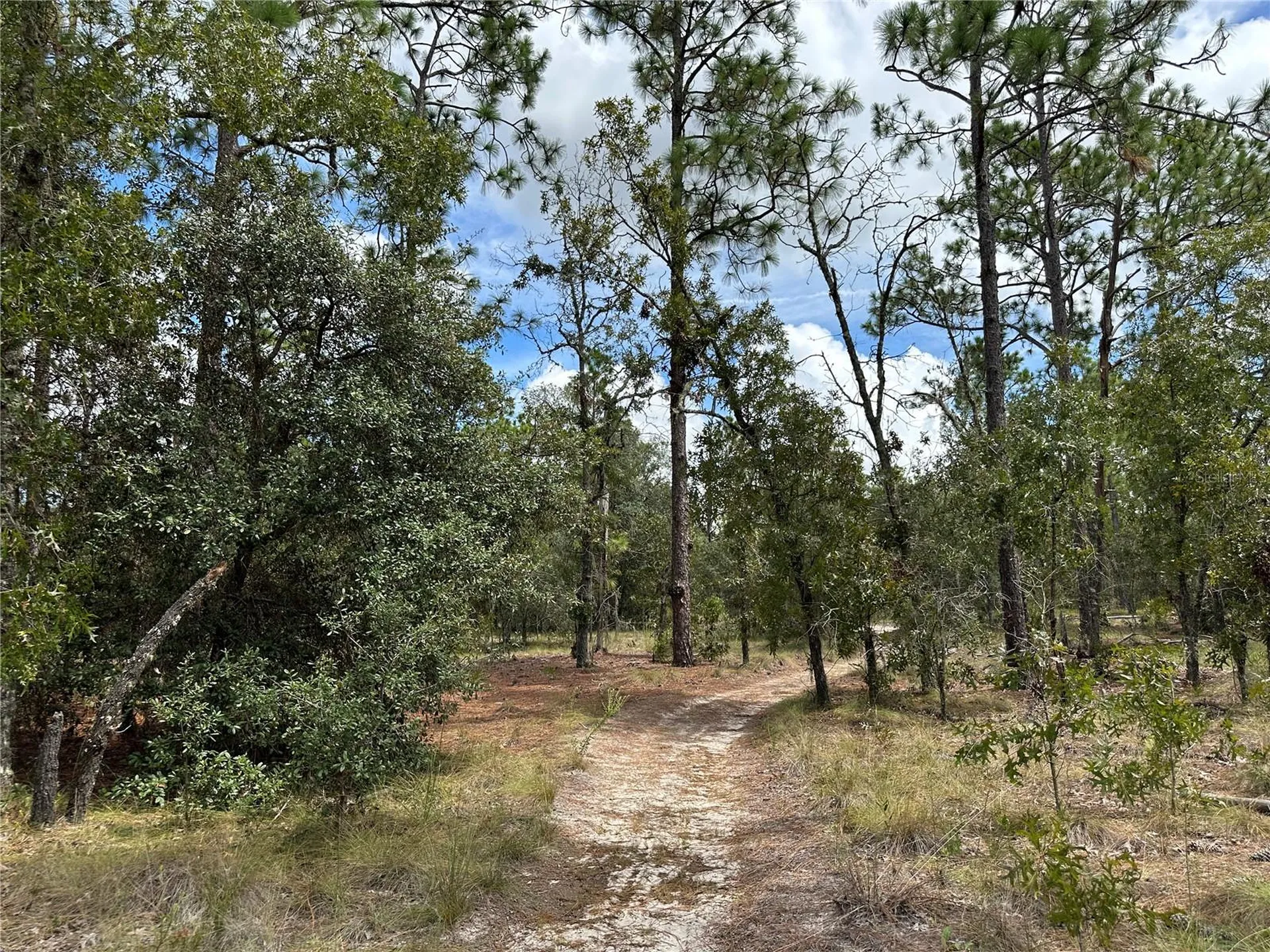 Dunnellon FL 34431