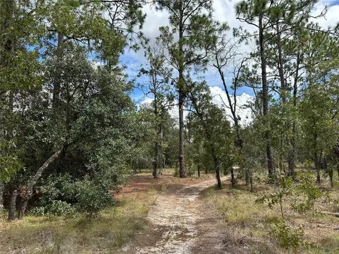 Dunnellon FL 34431