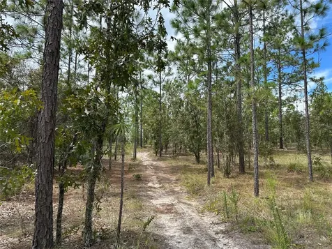 Dunnellon FL 34431