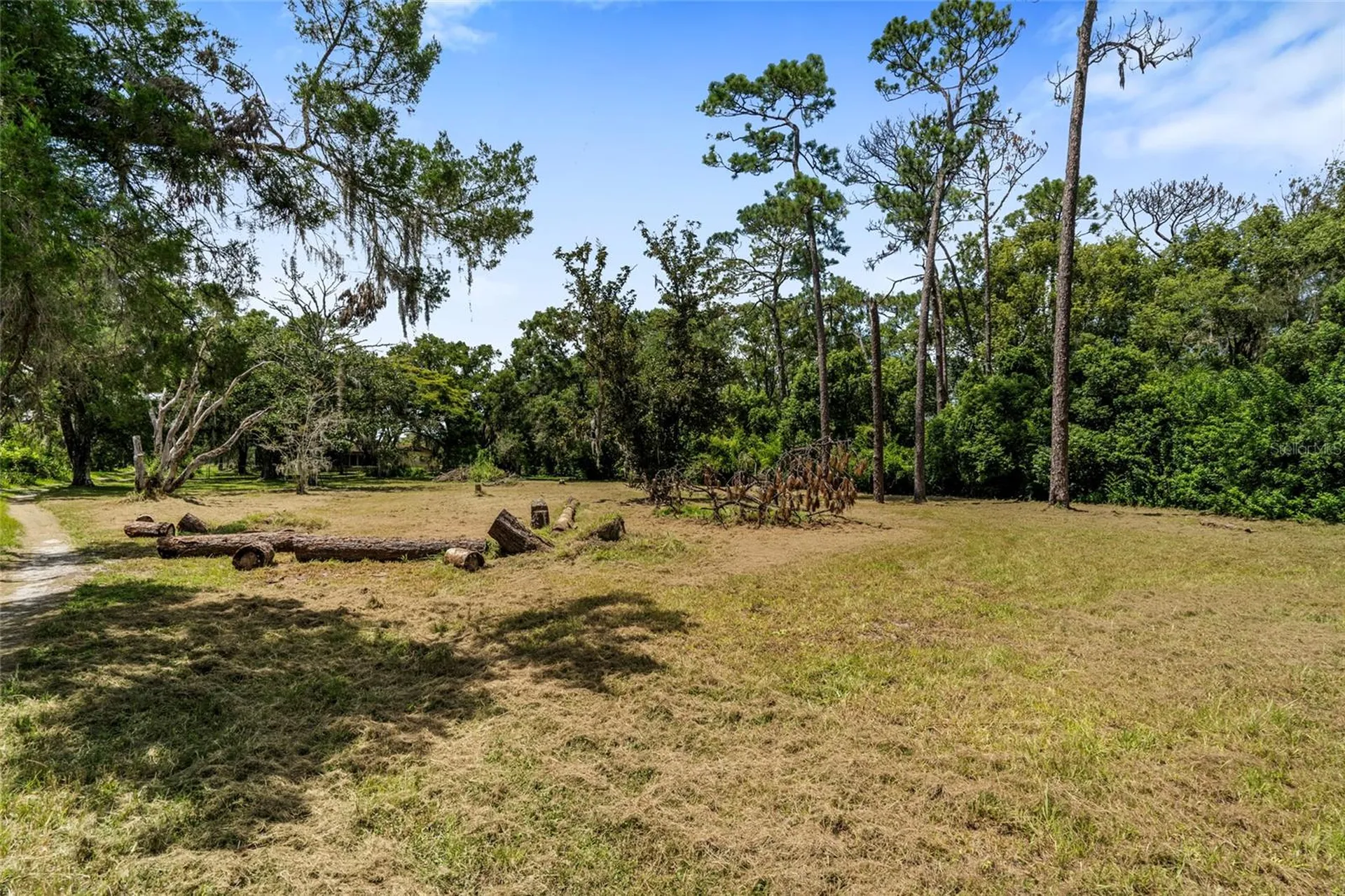 20105 Green Grass Lane Lutz FL 33558