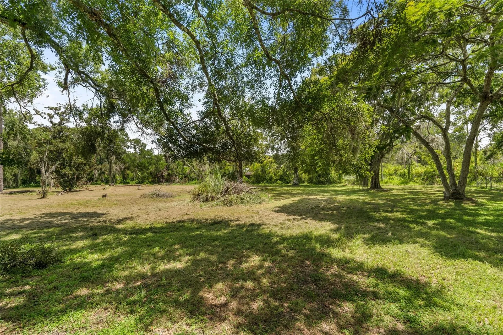 20105 Green Grass Lane Lutz FL 33558