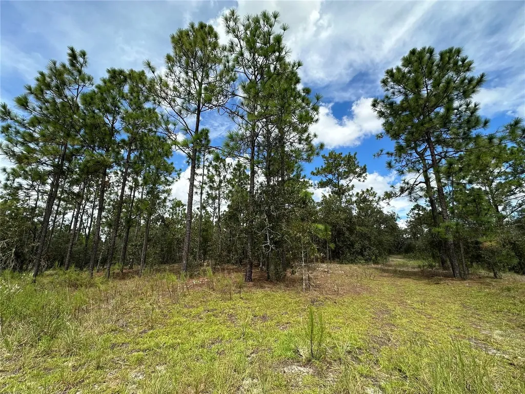 Tbd SE 105th Lane Dunnellon FL 34431