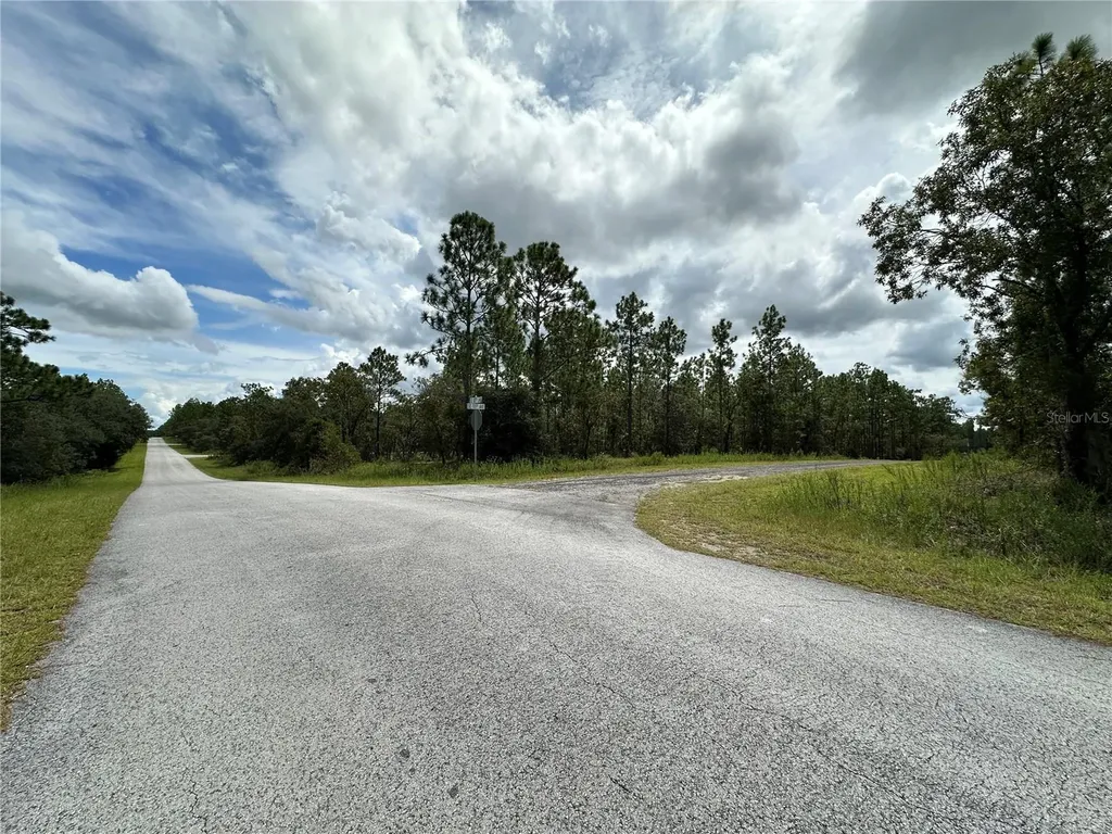 Tbd SE 105th Lane Dunnellon FL 34431
