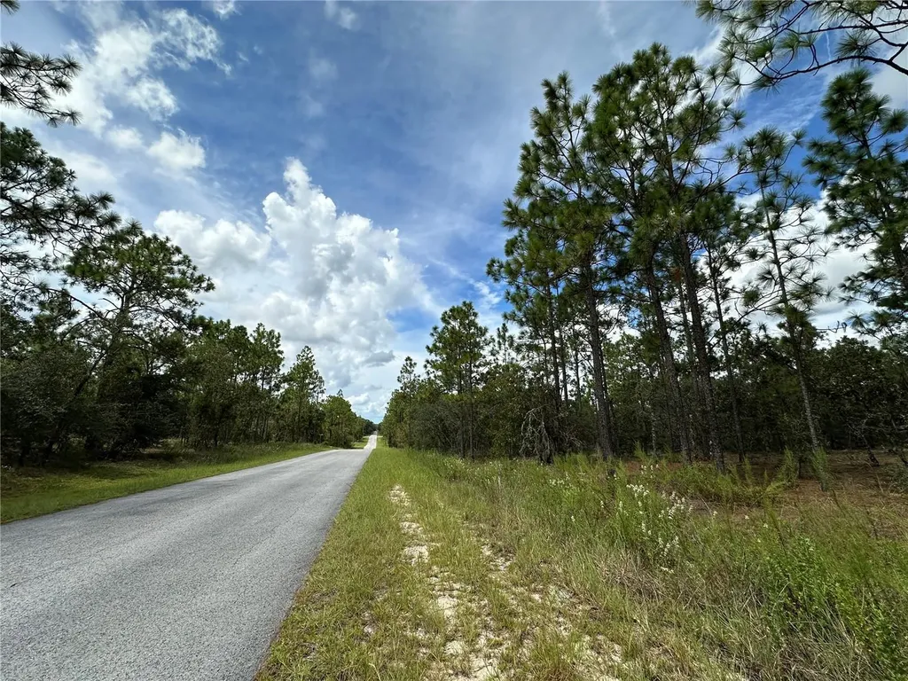 Tbd SE 105th Lane Dunnellon FL 34431