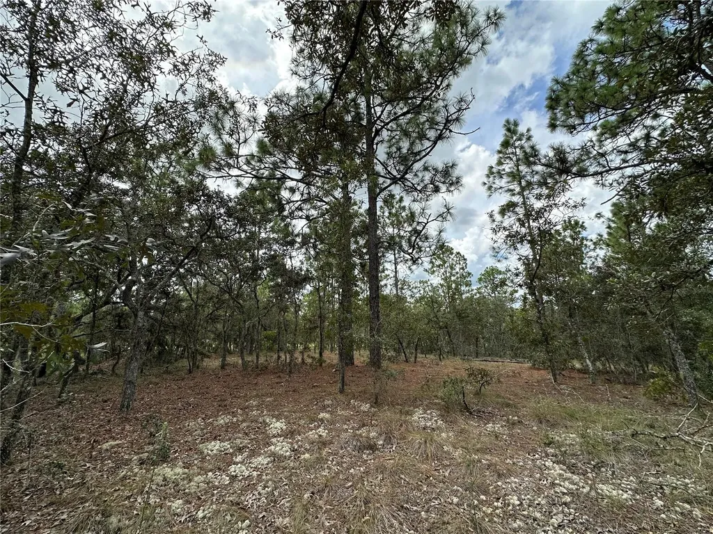 Tbd SE 105th Lane Dunnellon FL 34431