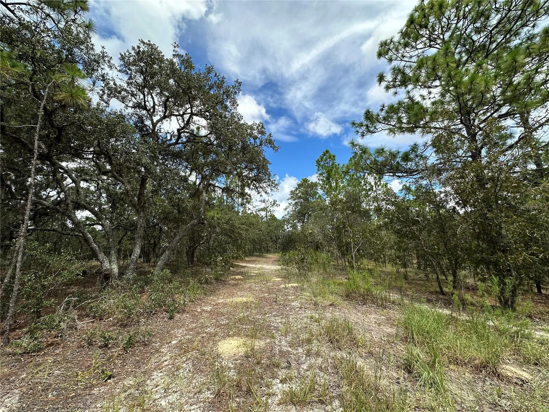 Tbd SE 105th Lane Dunnellon FL 34431