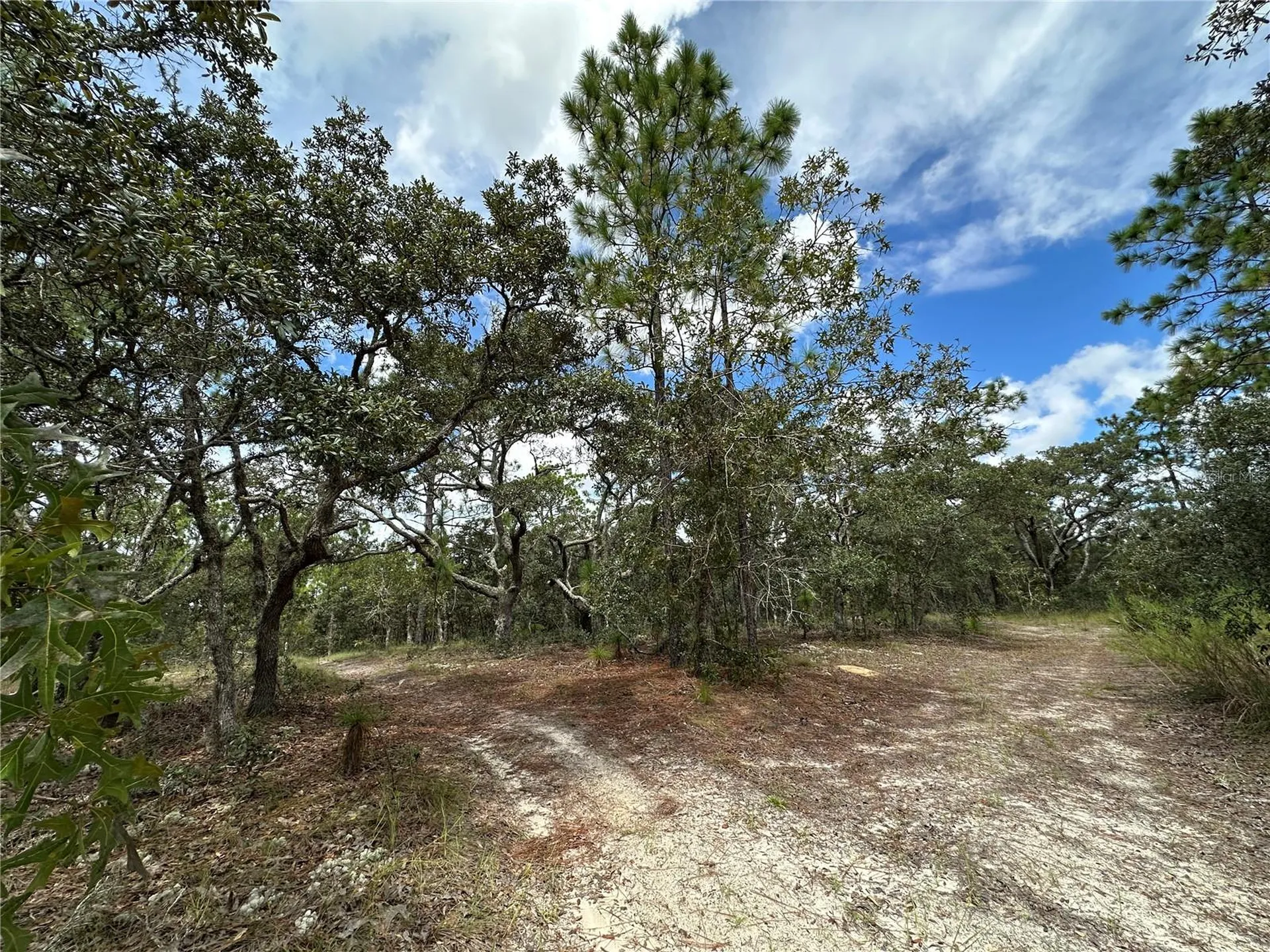 Tbd SE 105th Lane Dunnellon FL 34431