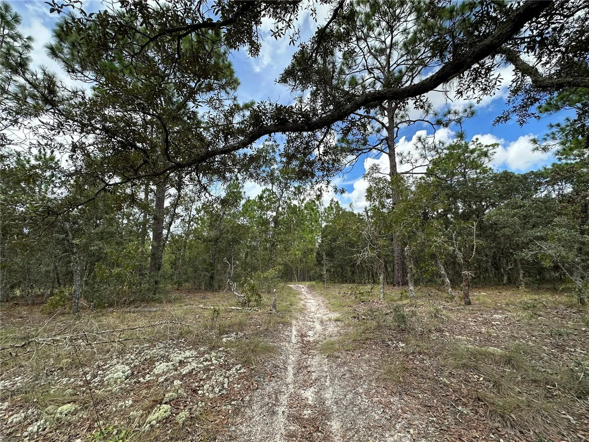 Tbd SE 105th Lane Dunnellon FL 34431