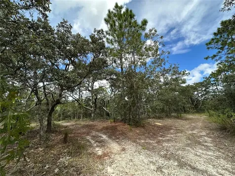 Tbd SE 105th Lane Dunnellon FL 34431