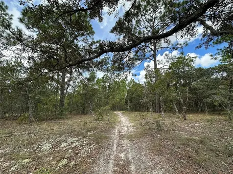 Tbd SE 105th Lane Dunnellon FL 34431