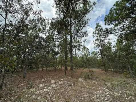 Tbd SE 105th Lane Dunnellon FL 34431