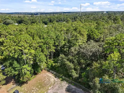 SE Cr 234 Micanopy FL 32667