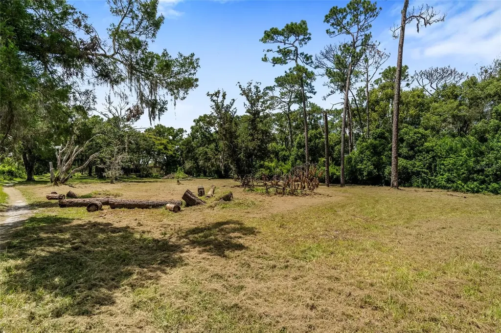 20125 Green Grass Lane Lutz FL 33558