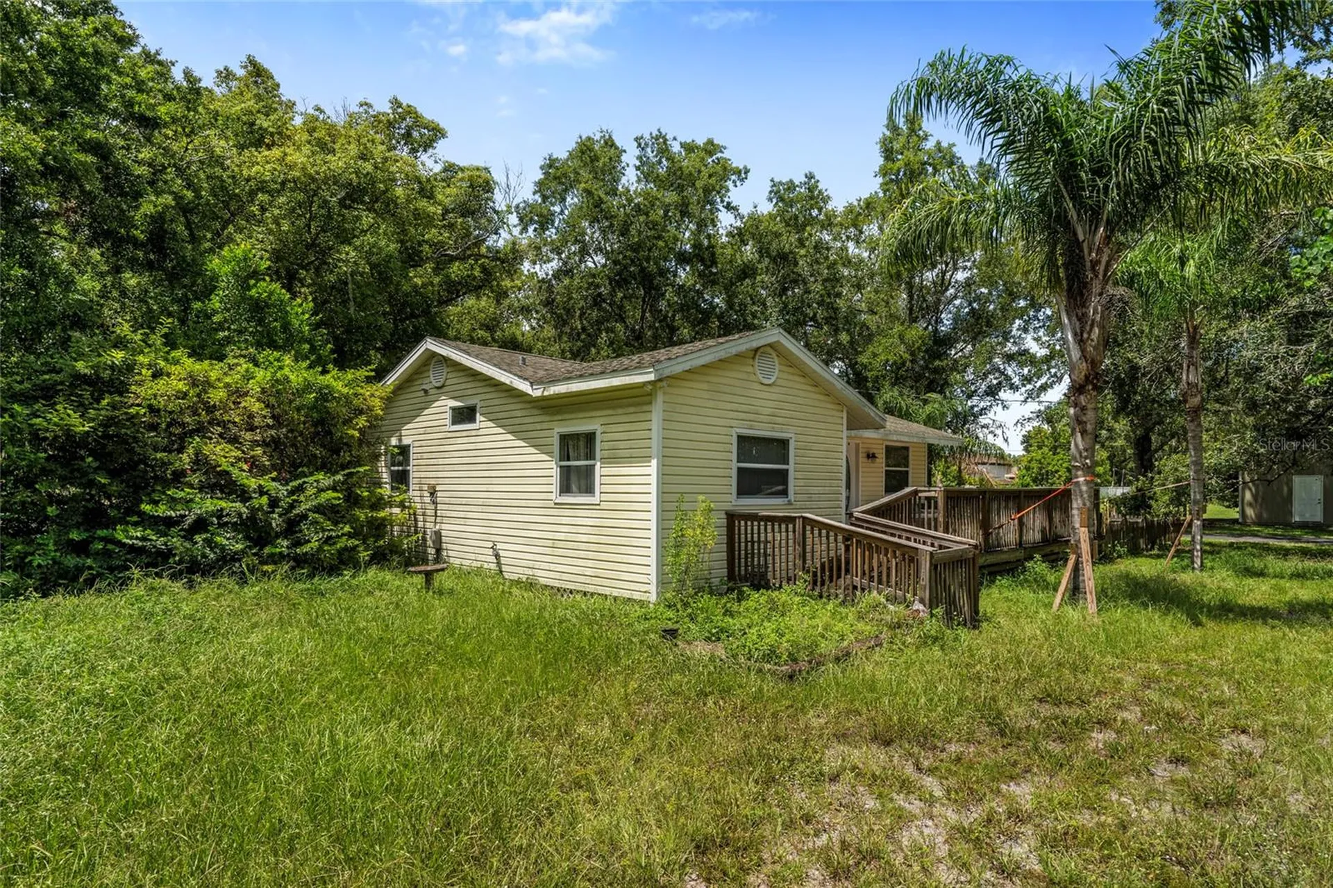 20125 Green Grass Lane Lutz FL 33558