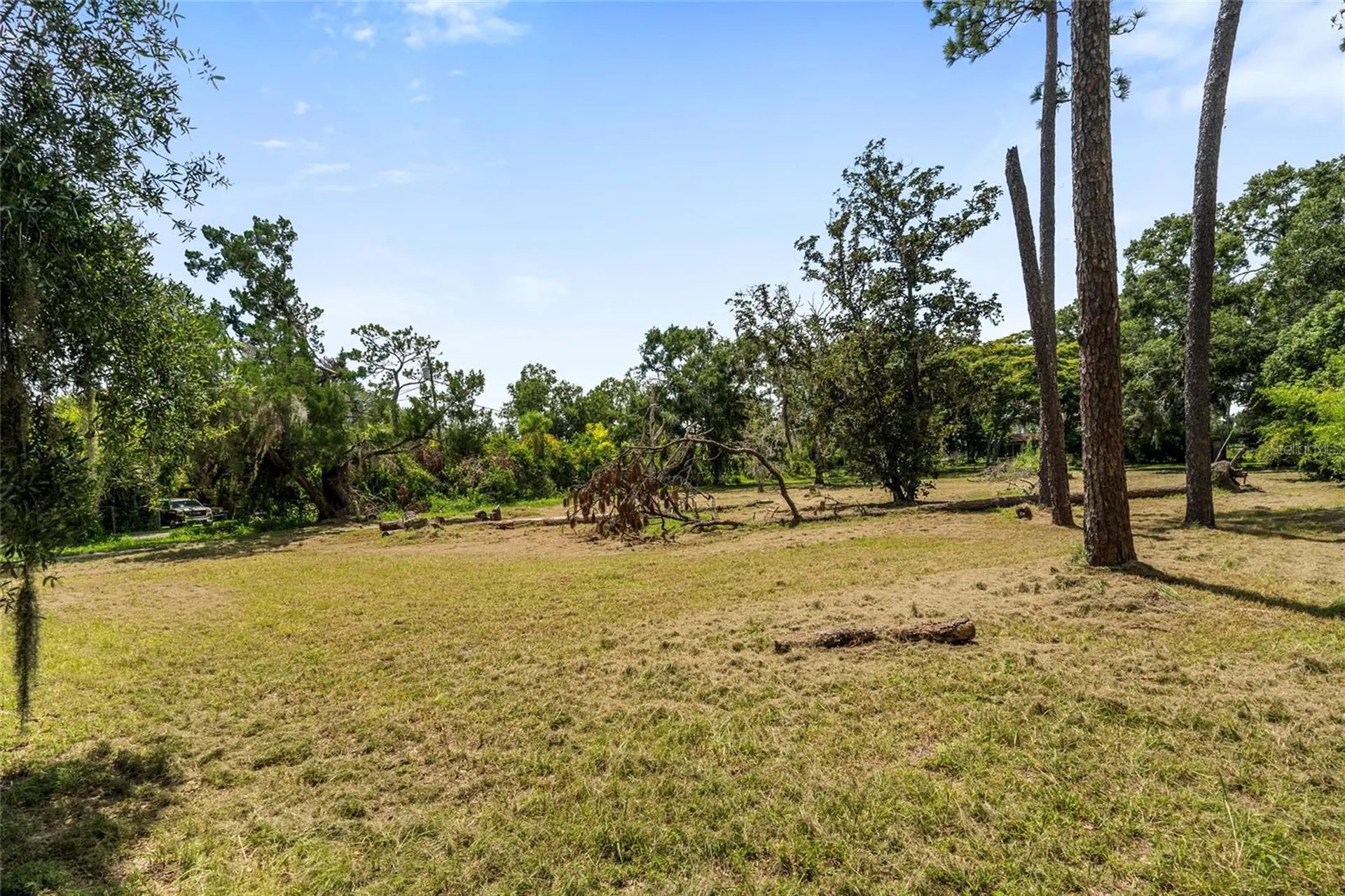 20125 Green Grass Lane Lutz FL 33558