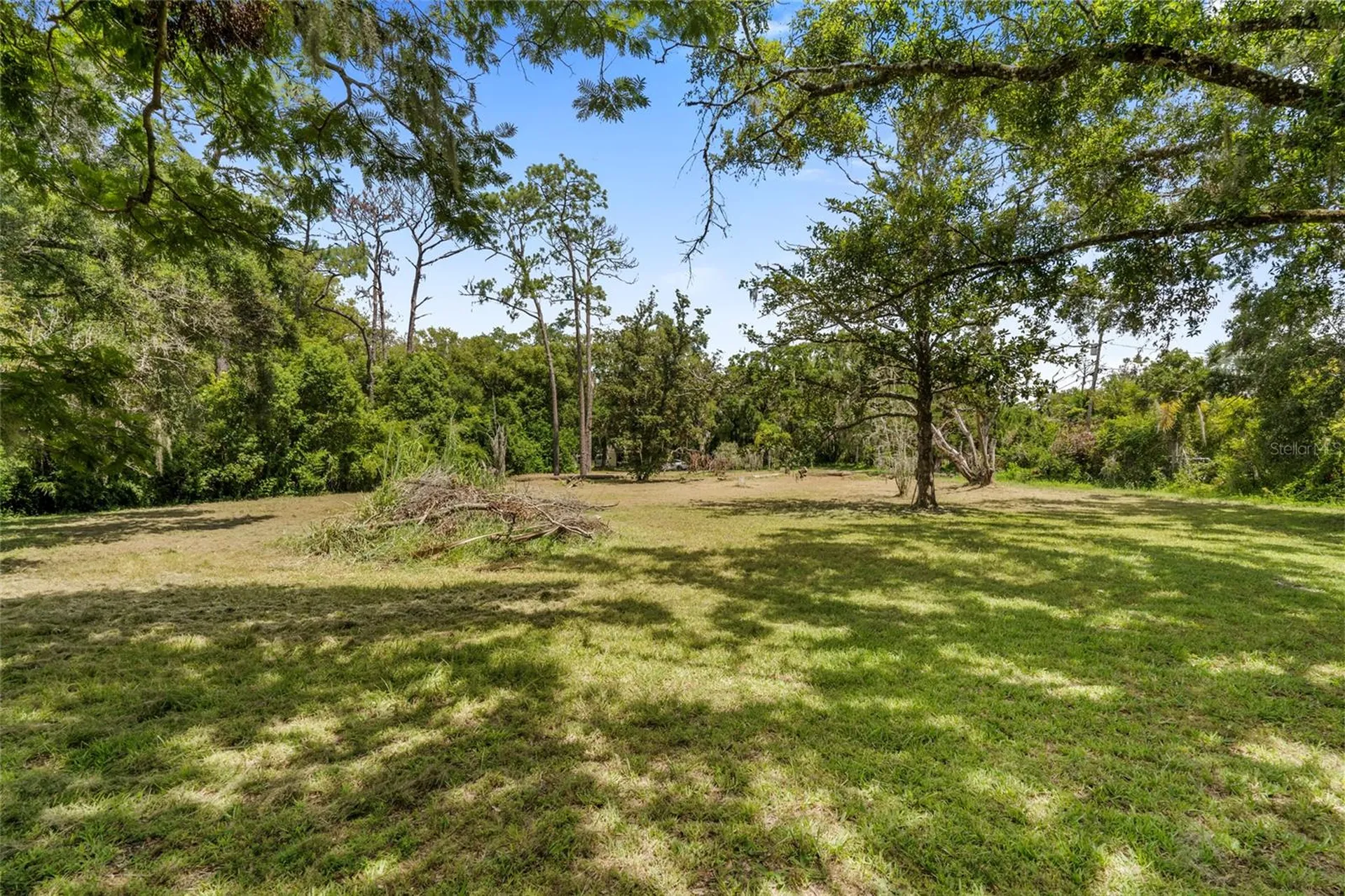 20125 Green Grass Lane Lutz FL 33558