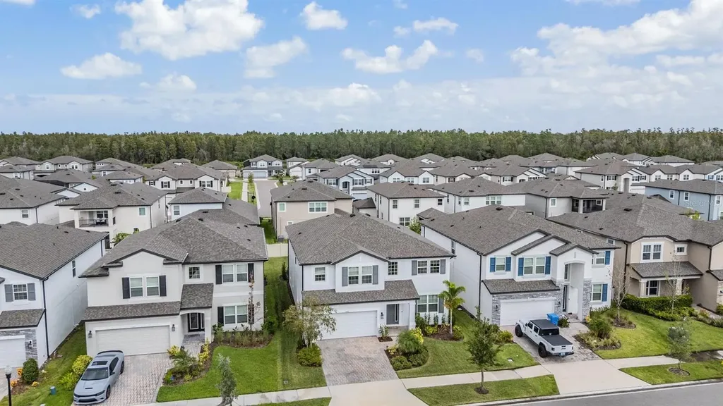 33181 Rosewood Bark Way Wesley Chapel FL 33545