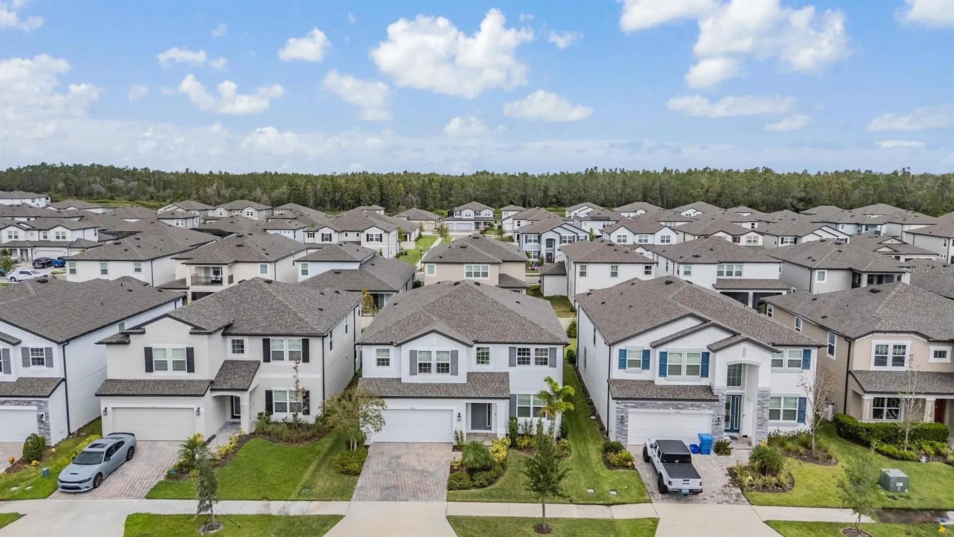 33181 Rosewood Bark Way Wesley Chapel FL 33545